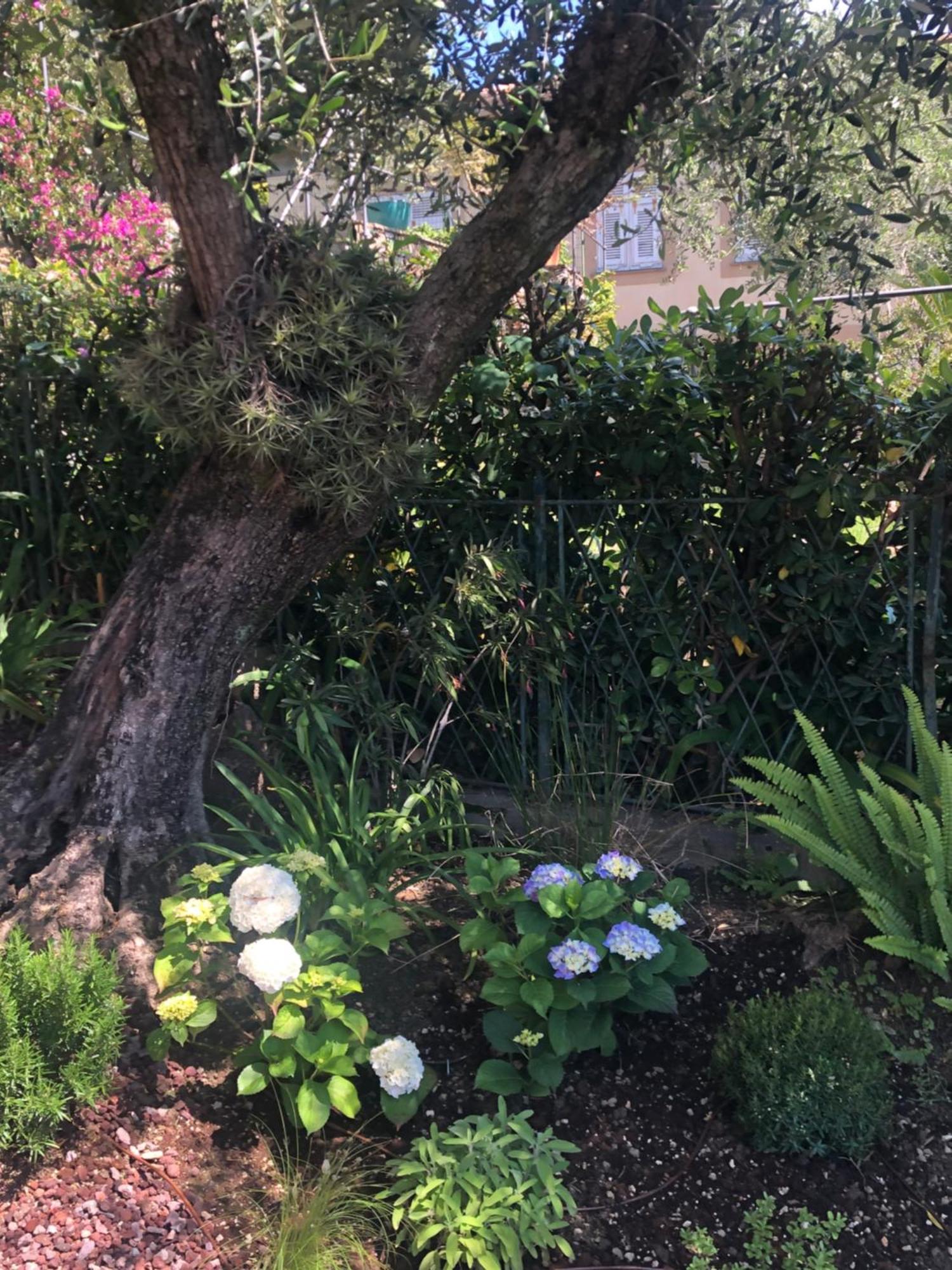 Appartamento Vista Portofino Zoagli Esterno foto